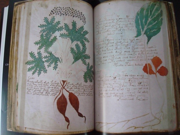The Mysterious Book that Explains the Entire Universe - A Journey into Cosmic Secrets