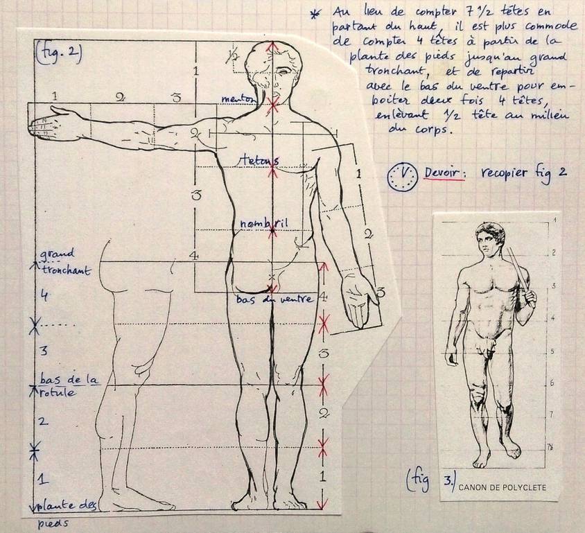 The Real Meaning Behind the Vitruvian Man – Unveiling the Truth