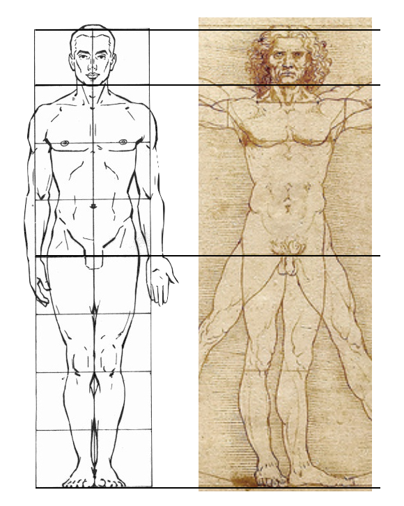 The Real Meaning Behind the Vitruvian Man – Unveiling the Truth