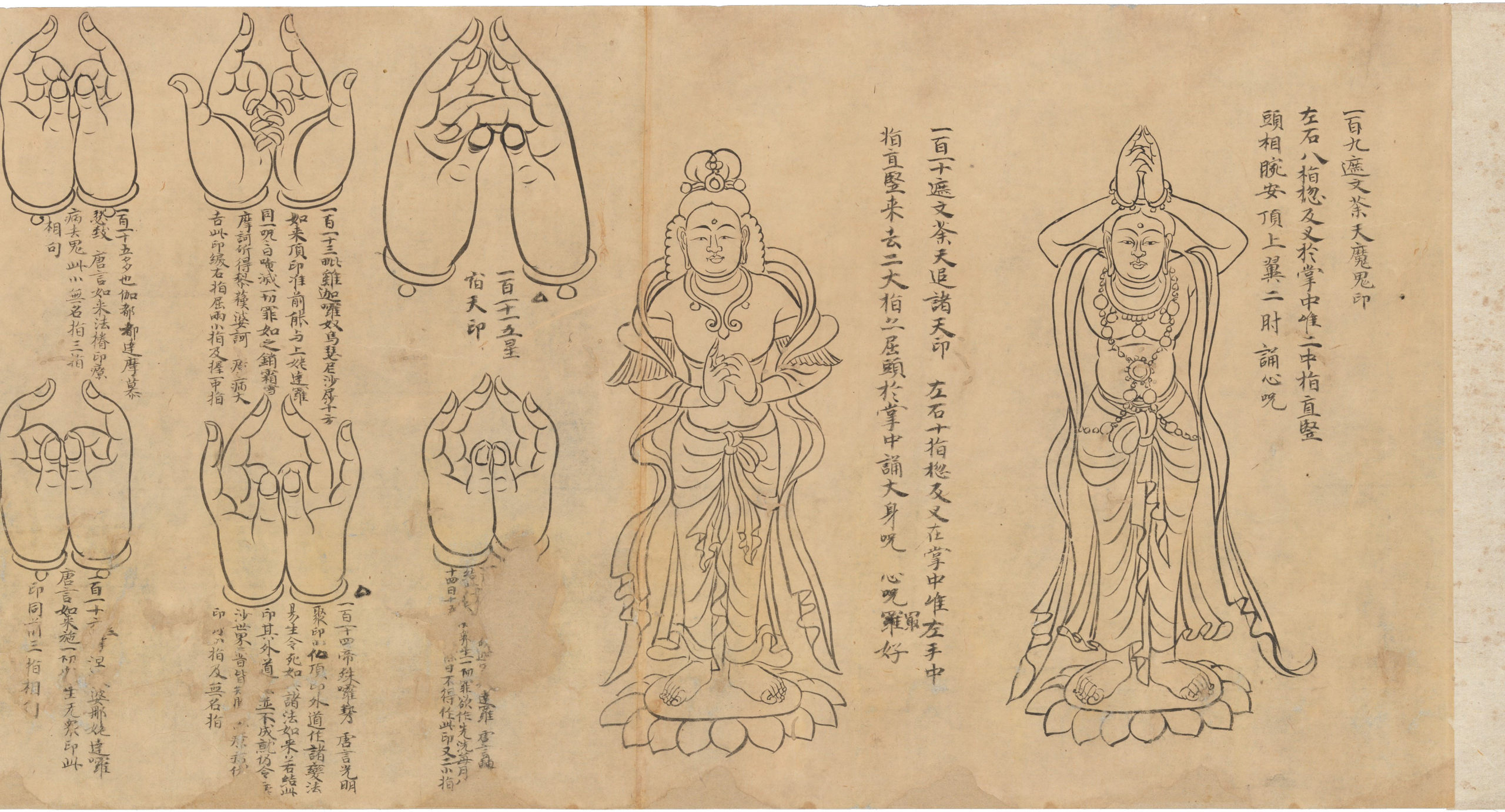 Unlocking The Secret Power of Mudras – A Hidden Path to Wellness