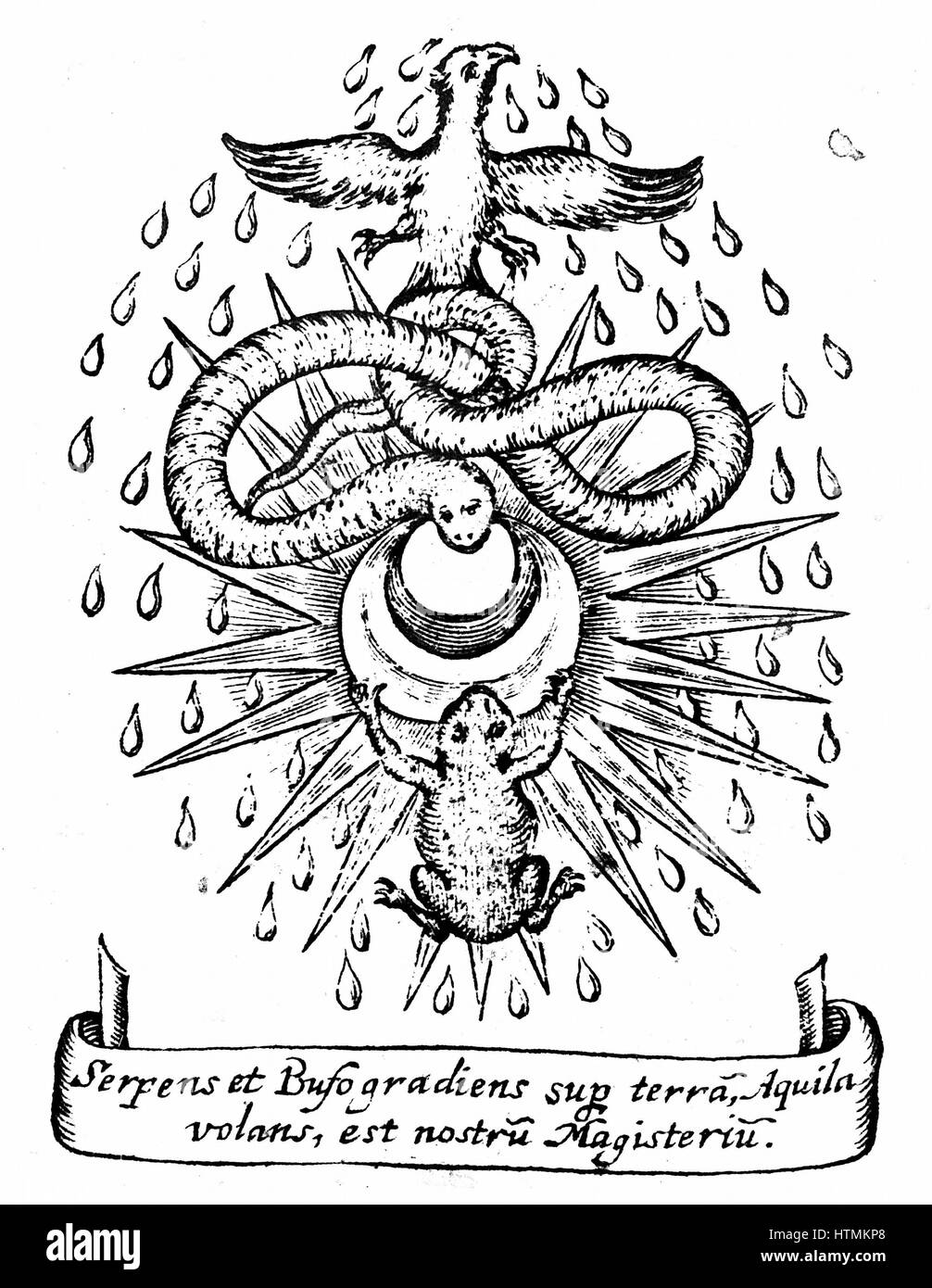 What is VITRIOL? - Unraveling the Ancient Alchemical Secret